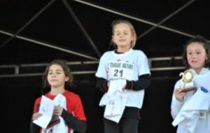 Départementaux de Cross 09 01 2011 - Résultats