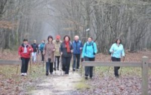 Marche Nordique 11 12 2011  Photos