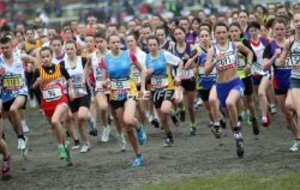 France de Cross du 04 03 2012 Résultats