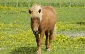 Marche Nordique: Les Hermittes 28 05 2012