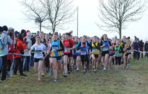 Mondoubleau Inter Cross 17 02 2013