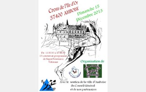 Amboise Cross 15 12 2013