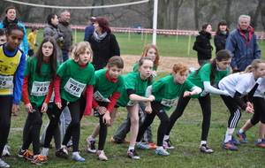 Bilan des athlètes de l'A A A  en   2013