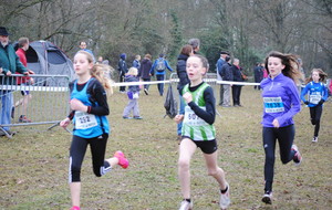 Les Départementaux de Cross du 12 01 2014 dans la  NR