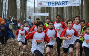 Blois Inter comité de cross 15 03 2014