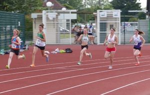 Romorantin 1/2 Fond  06 60 2014