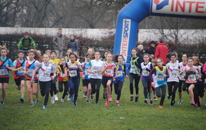 Intercomités de cross: Organisation