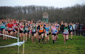 Cross de Montlouis  28 02 2016