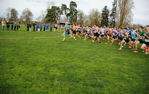 AMBOISE Cross 24 11 2024 