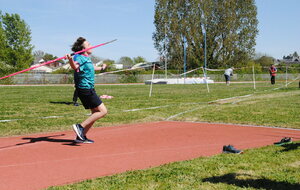 Avoine LL 06 04 2026  T R