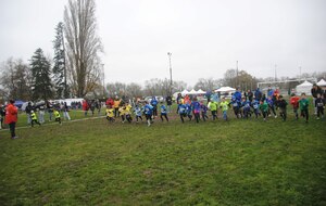 🔥 À vos pointes ! Le Cross Touraine voit grand : championnats départementaux de cross court et régionaux de relais à Amboise ! 🏆