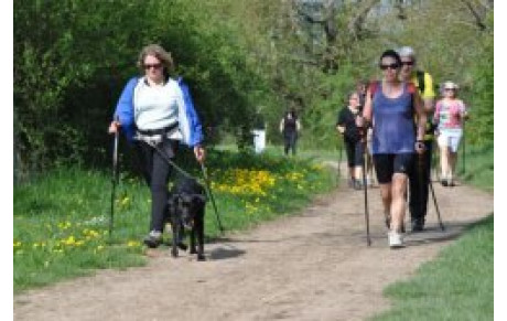 Prévisions des Marches Nordique de la saison 2012