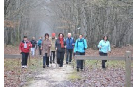 Marche Nordique 11 12 2011  Photos