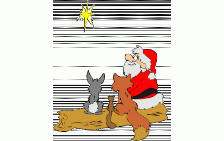 Les entrainements du 23 - 12 au 03 - 01 -2014