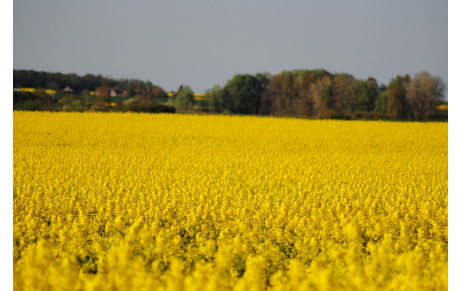 Saintes Intercomités BM 09 04 2016