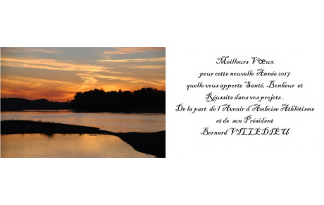 Voeux 2017