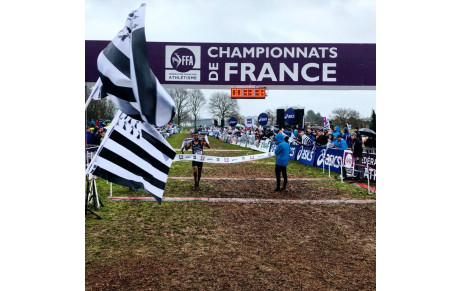 Plouay  France Cross 11 03 2018 dans les médias