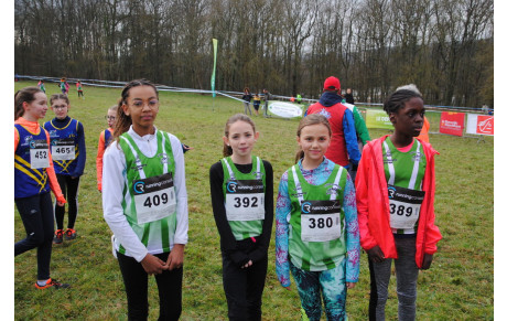 Chateau Renault Cross 12 01 2020