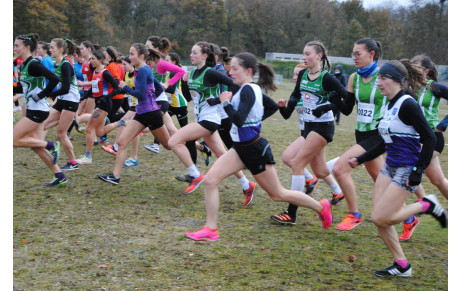 Vineuil Cross 27 11 2021