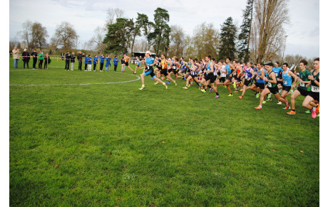 AMBOISE Cross 24 11 2024 